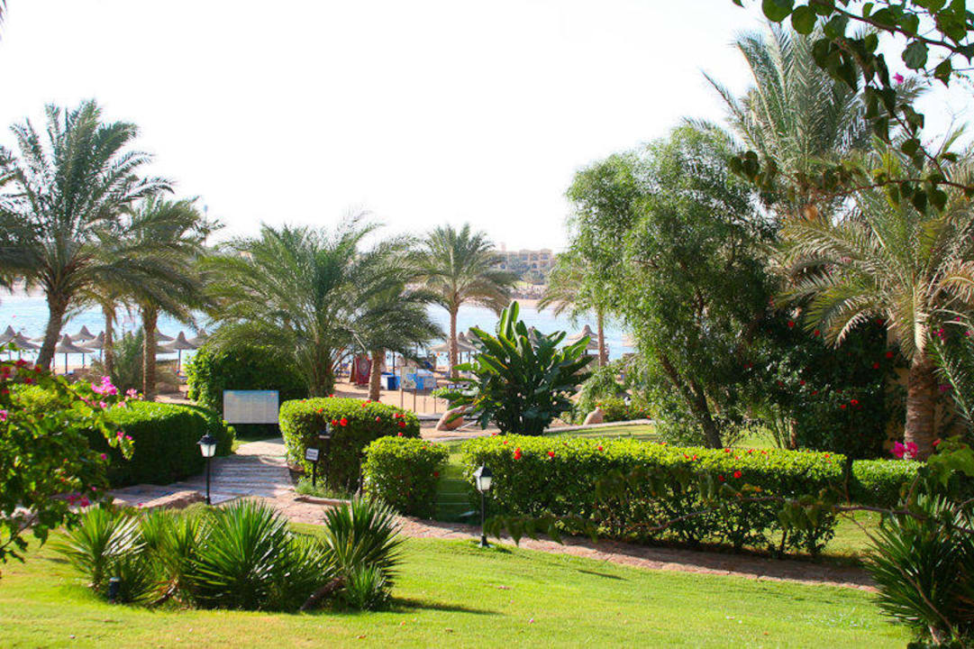 Gartenanlage auf dem Weg zum Beach Steigenberger Coraya Beach - Adults only