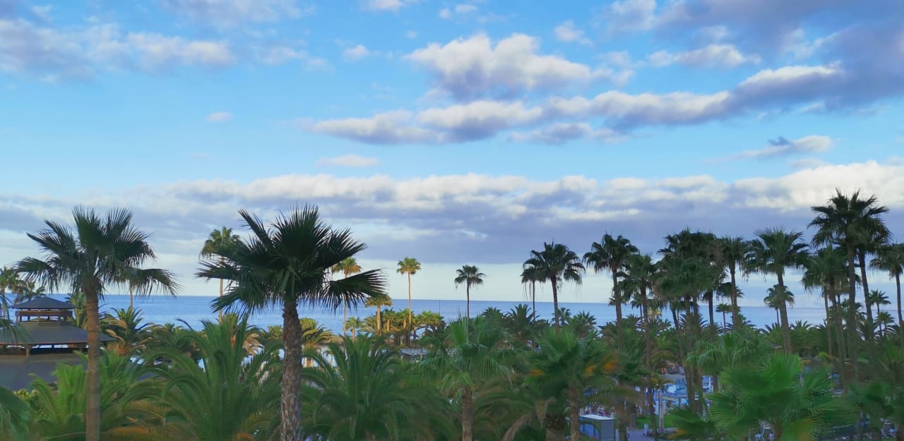 Ausblick Hotel Riu Palace Tenerife