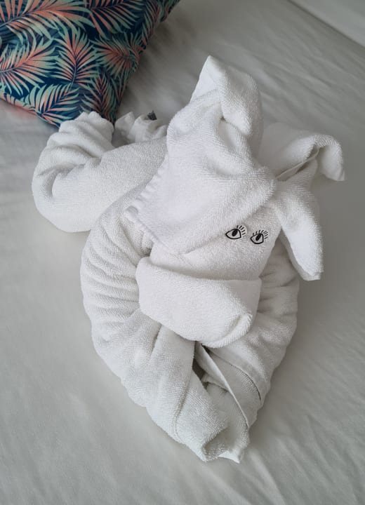 Zimmer Hotel Riu Palace Palmeras