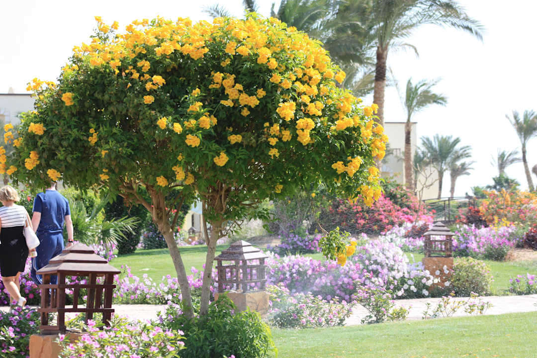 Красота! Regency Plaza Aqua Park & Spa