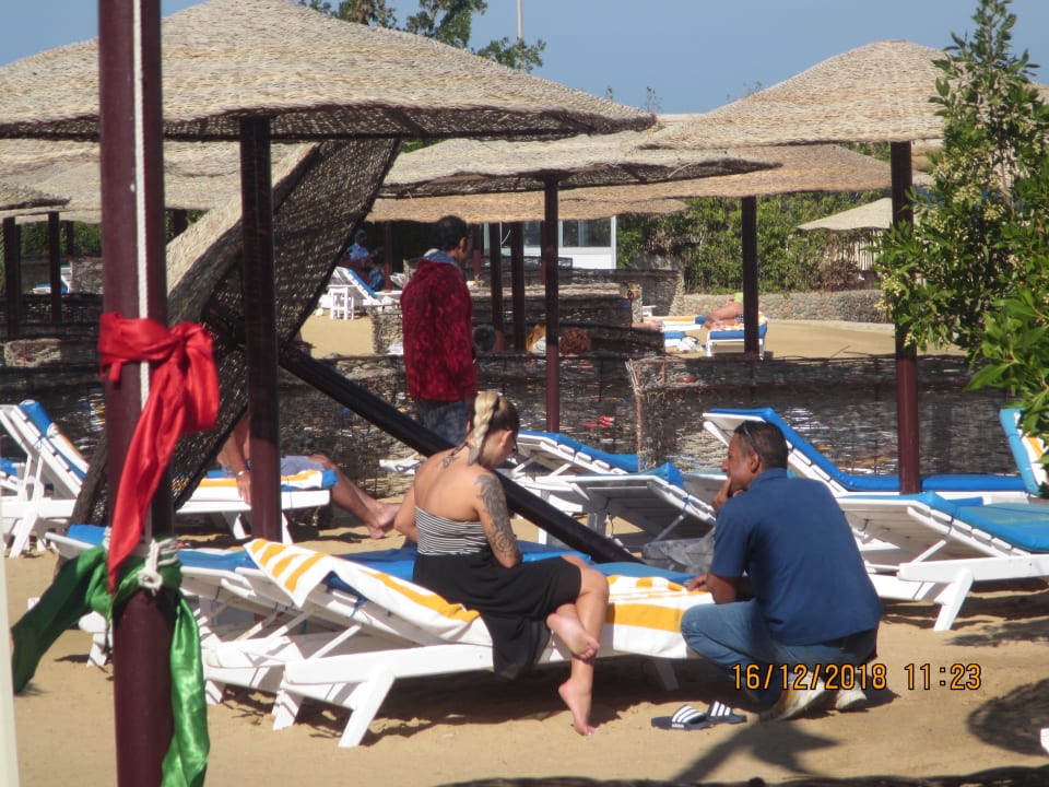 Strand Sea Star Beau Rivage