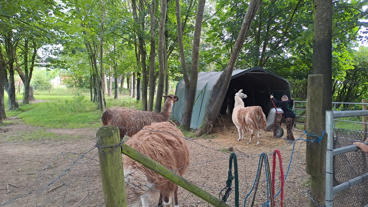 Sonstiges Ferienhof Feinen