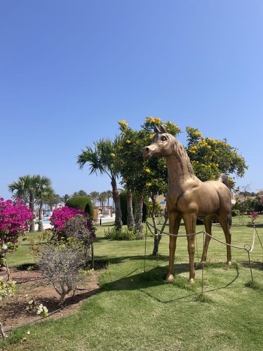 Gartenanlage Cleopatra Luxury Resort Makadi Bay