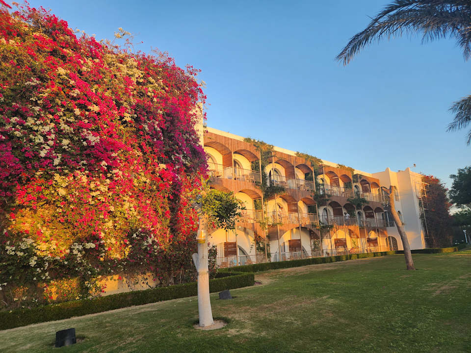 Gartenanlage Desert Rose