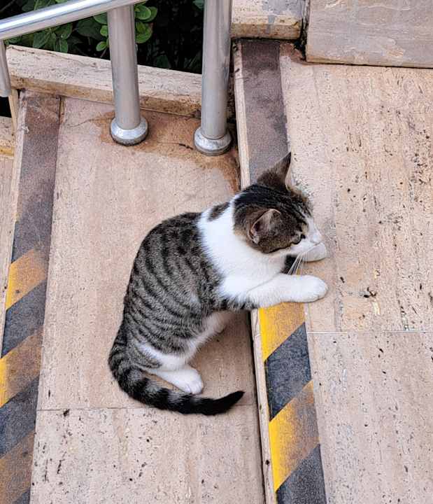 Sonstiges Hotel Terrace Beach Resort