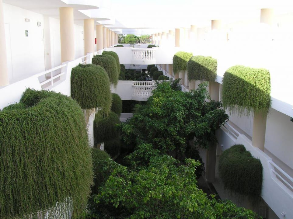 Zugang zu den Zimmern Iberostar Selection Albufera Park