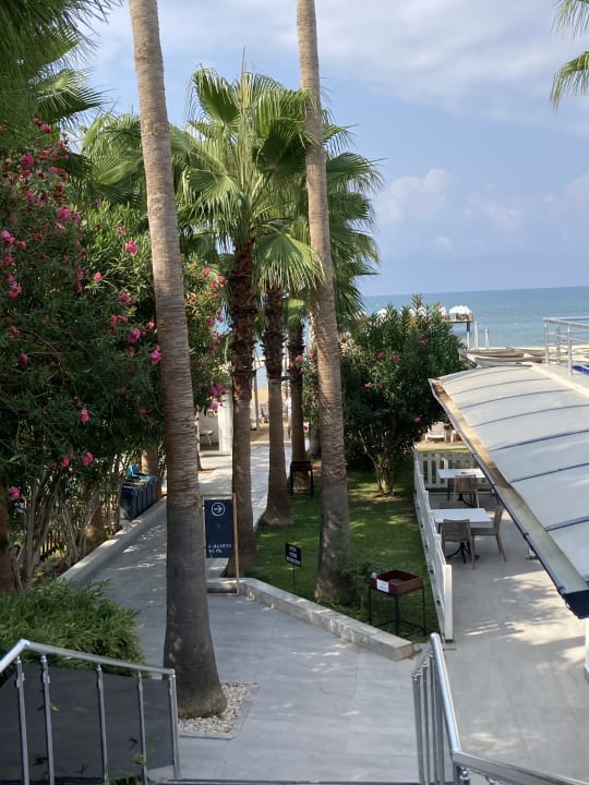 Ausblick Hotel Thalia Unique