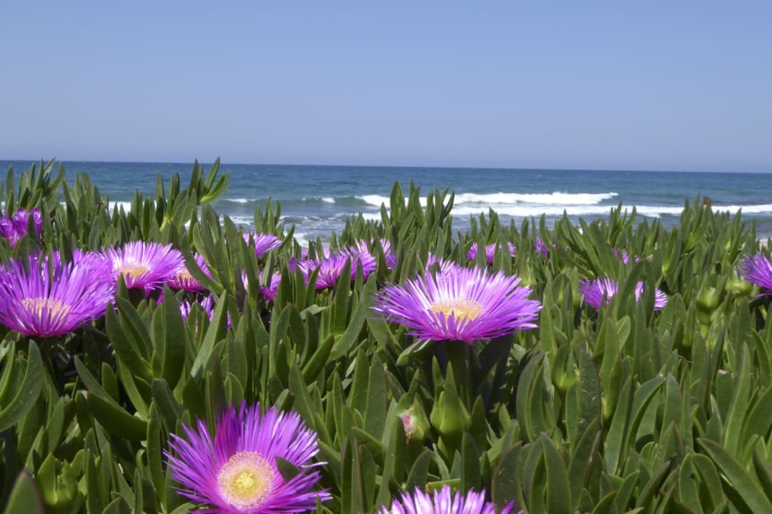 Ausblick Anissa Beach & Village