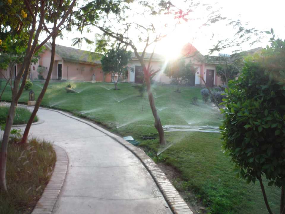 Поливают газон Pickalbatros Jungle Aqua Park Resort - Neverland Hurghada
