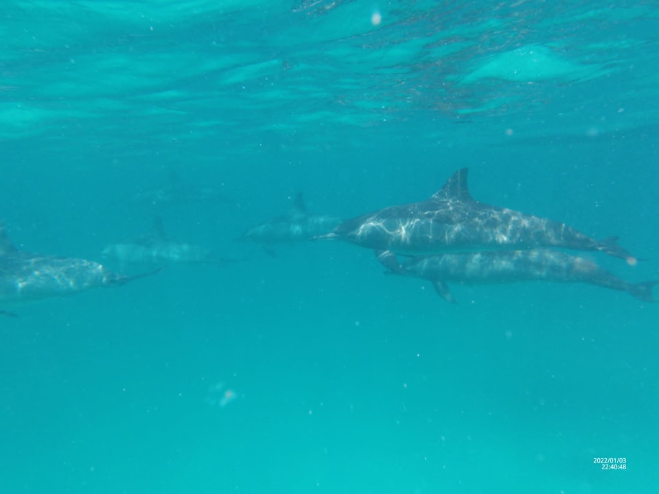 Sport & Freizeit Shams Alam Beach Resort