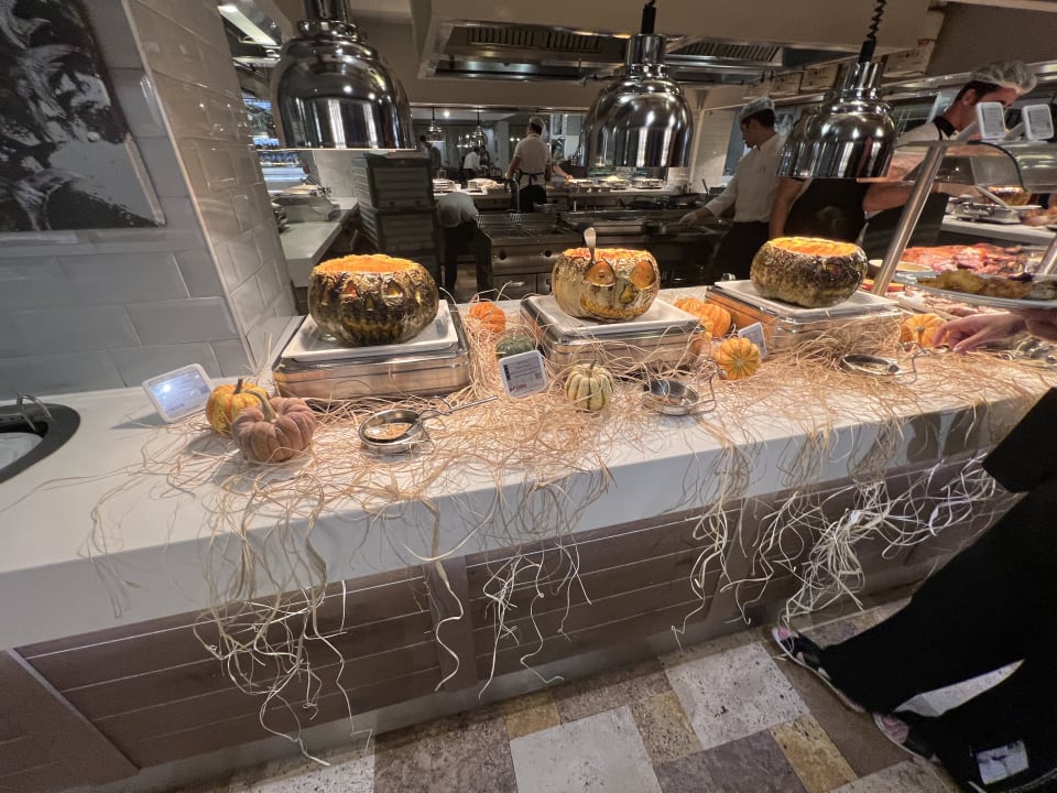 Gastro Lara Barut Collection