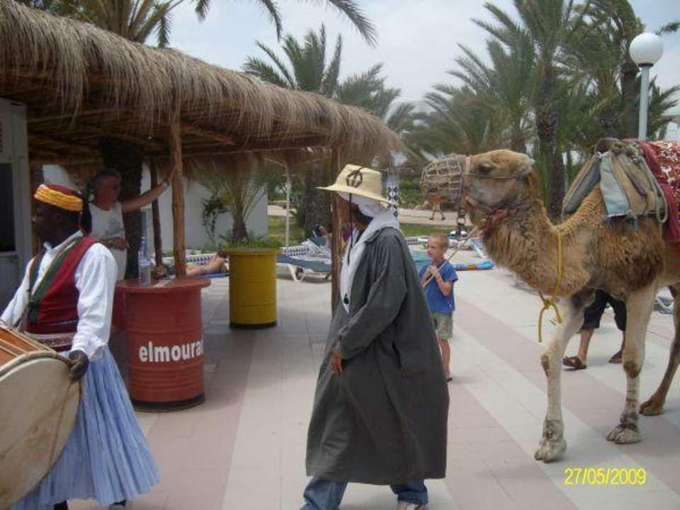 Drometar am Pool Hotel El Mouradi Djerba Menzel