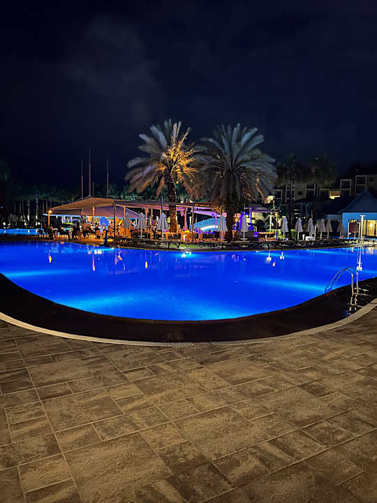 Pool Arum Barut Collection