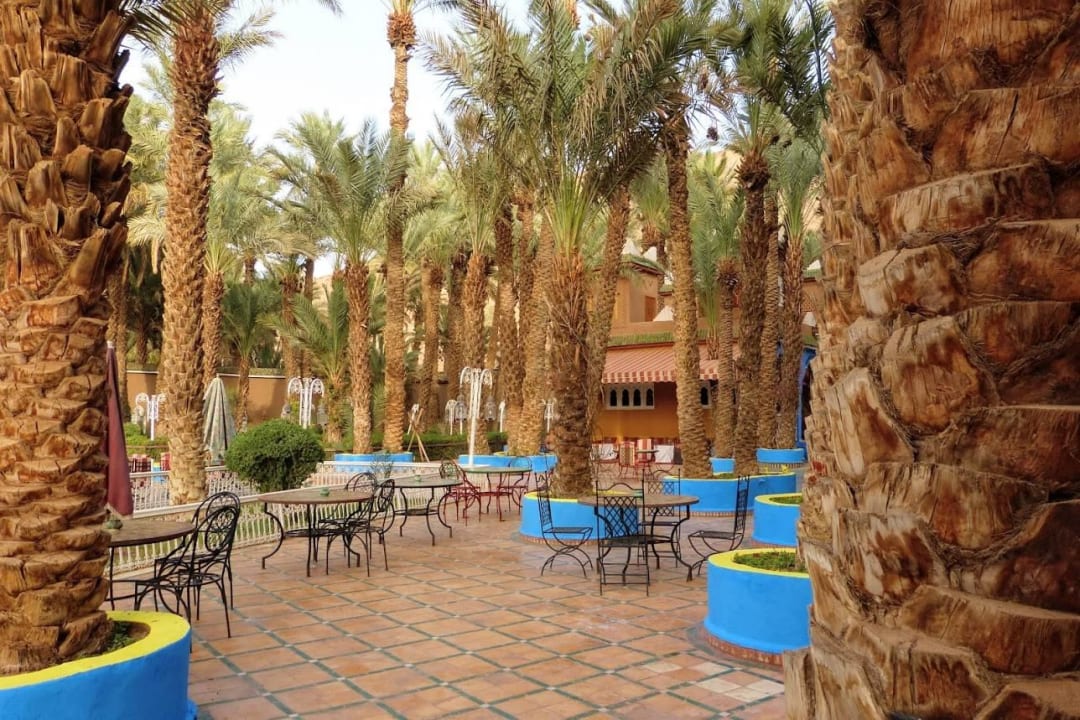 Aranżacje ogrodowe Hotel Palais Asmaa