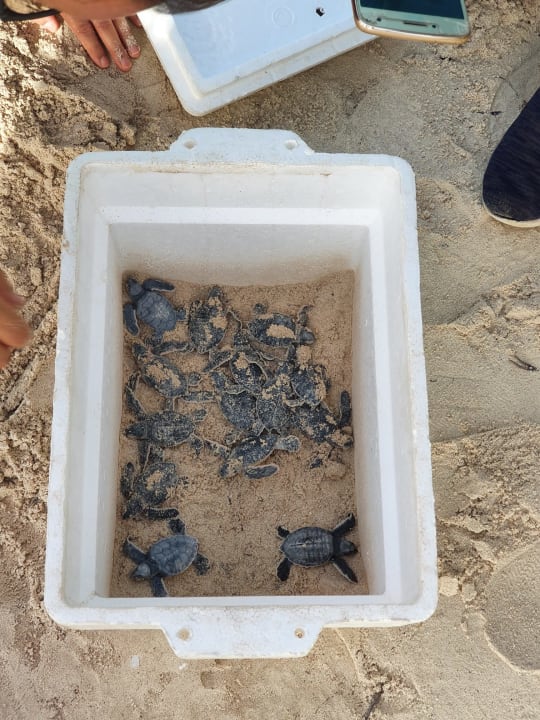 Strand Akumal Bay Beach & Wellness Resort