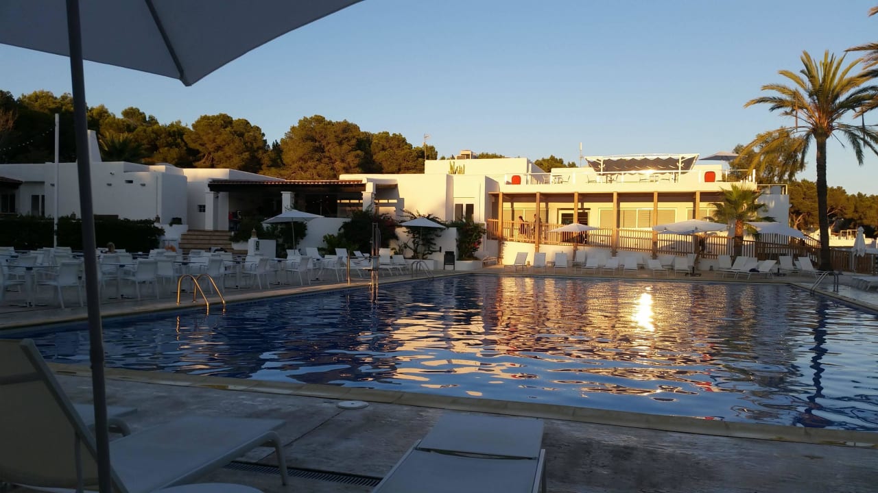 Abends am Pool Cala Llenya Resort Ibiza