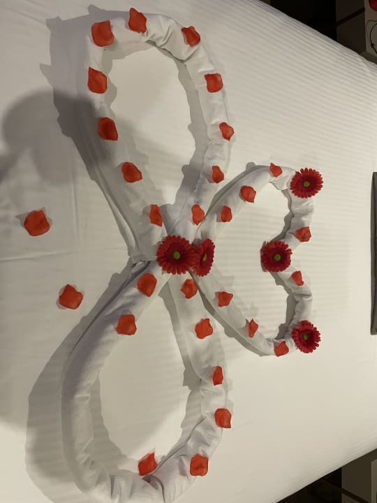 Zimmer Arycanda Kirman Premium