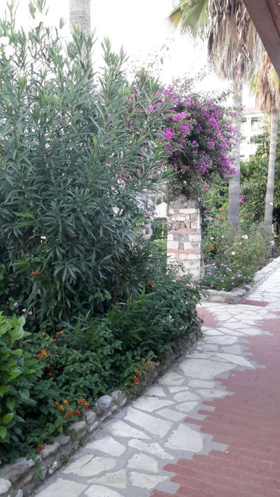 Garten  Hotel Defne Garden