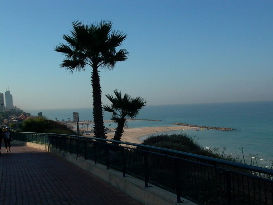 Blick zum Mittelmeer Hotel King Solomon