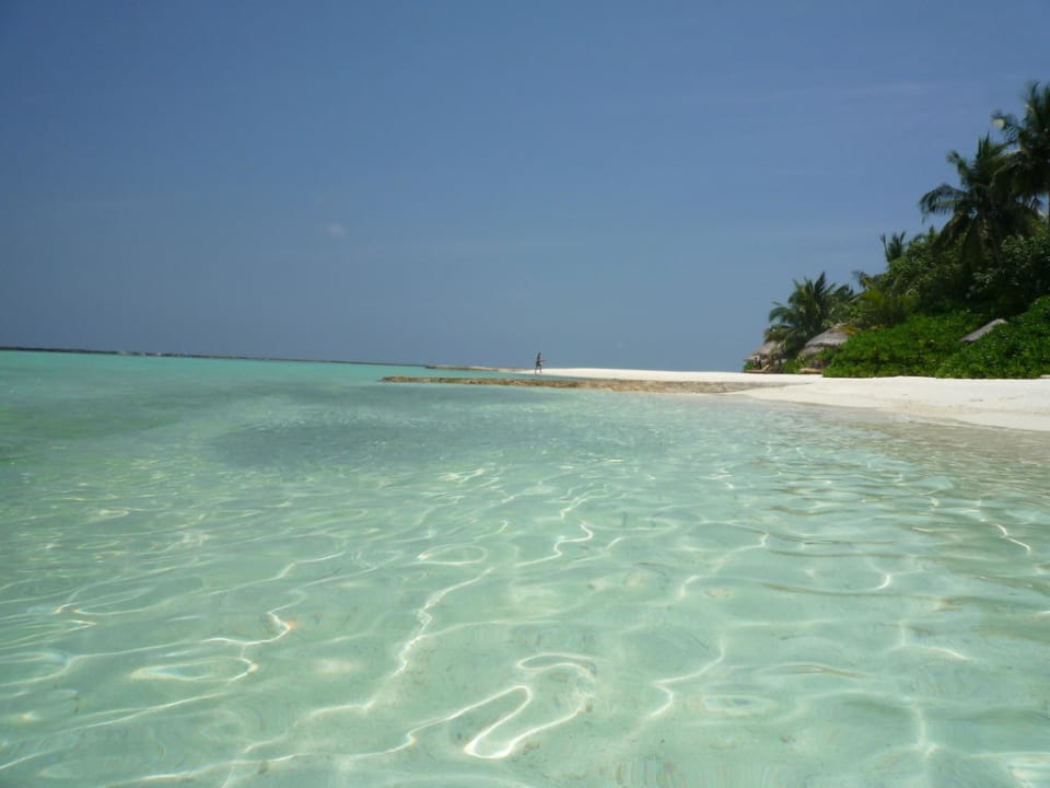 Strandansicht  Baros Maldives Resort