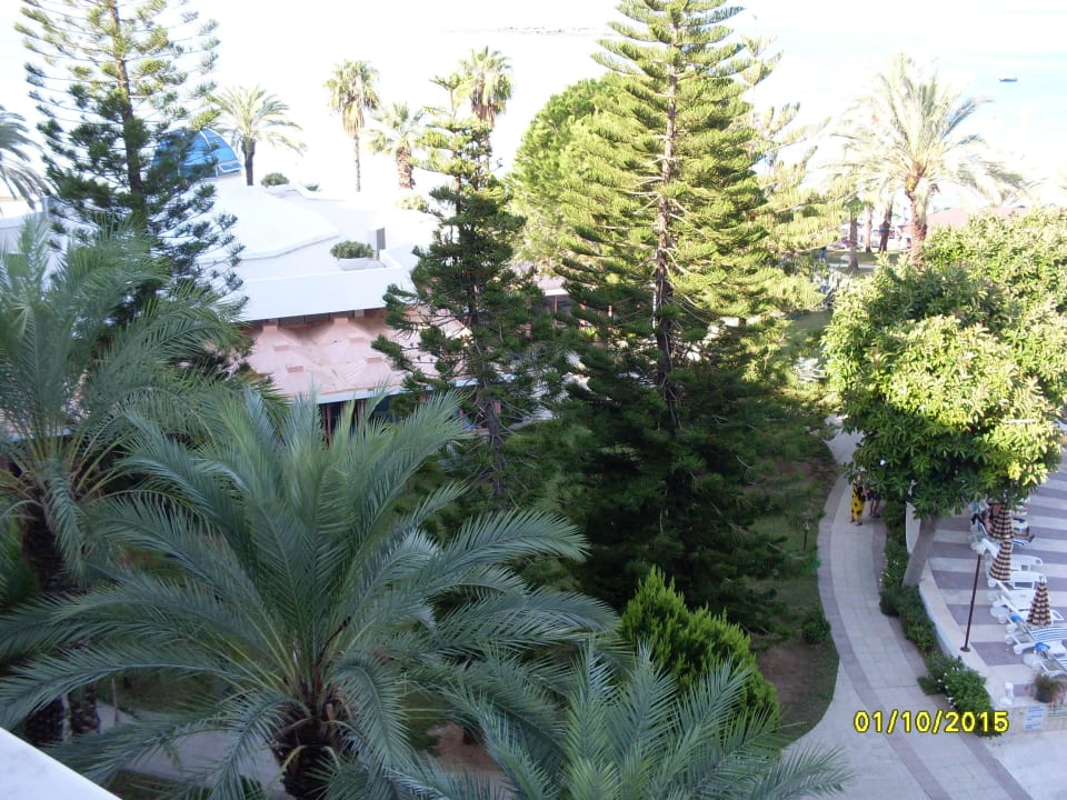 Tolle Gartenanl. mit Weg zum Restaurant Top Hotel