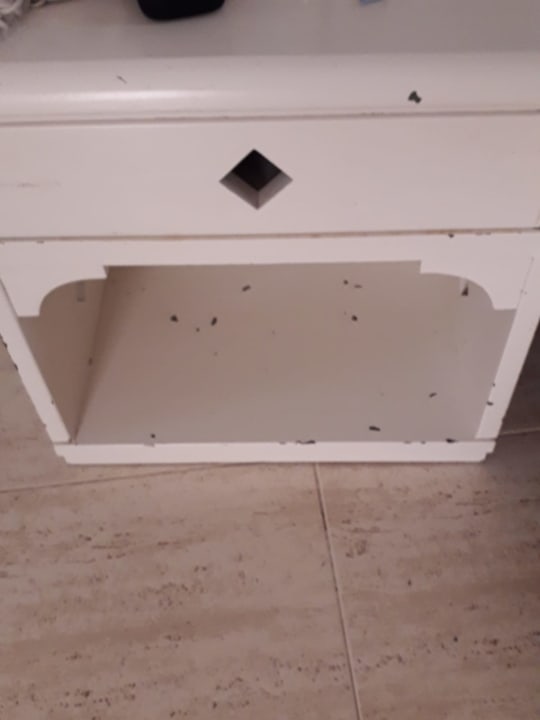 Zimmer Apartments Galeon Playa