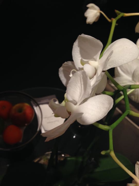 Orchidee Relais & Châteaux Hotel Burg Schwarzenstein