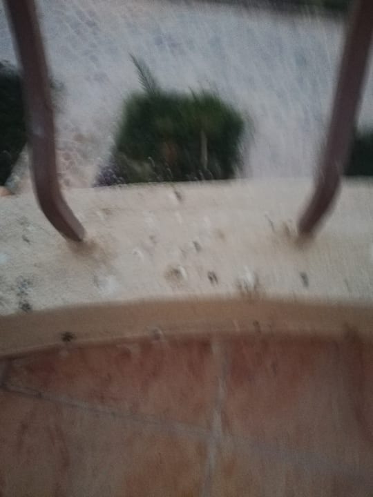 Zimmer Pensée Royal Garden Beach Resort