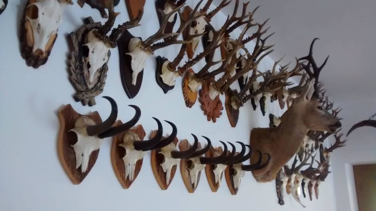 Entance Hotel Garni Rives