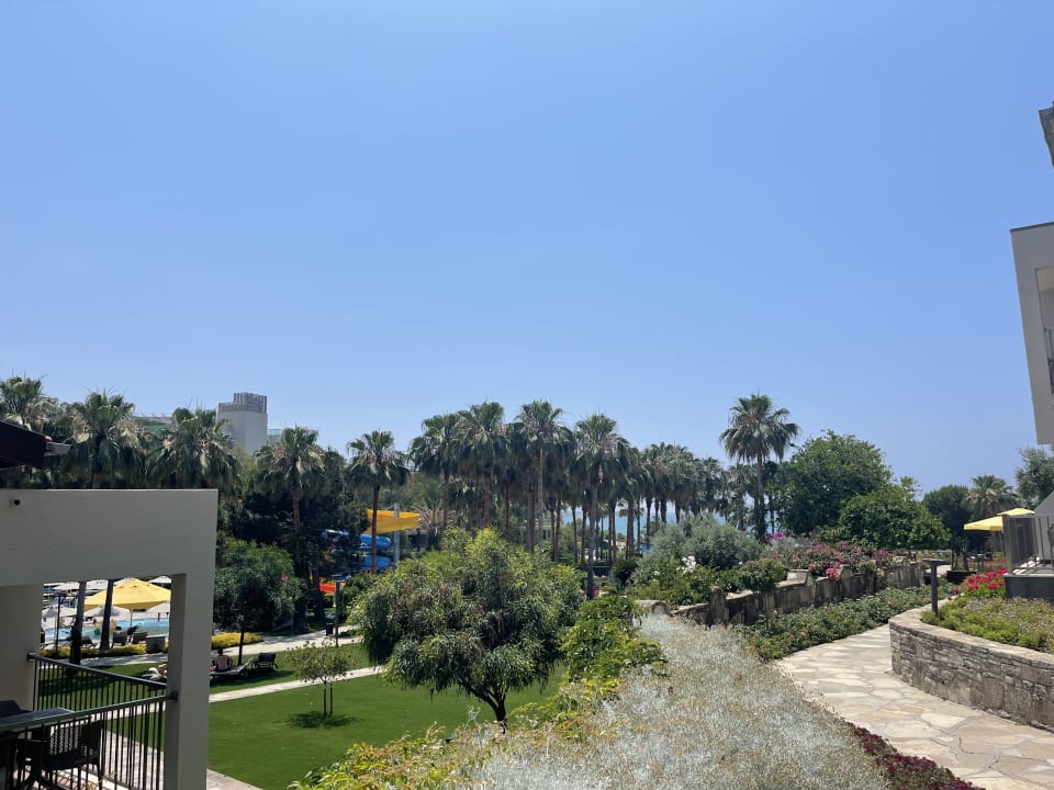 Gartenanlage Arum Barut Collection