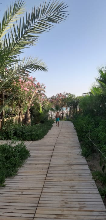 Strand Seamelia Beach Resort