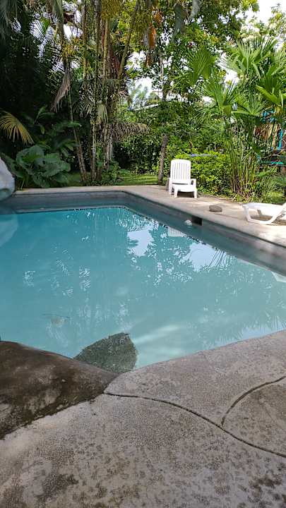 Pool Casa Magdalena Cahuita