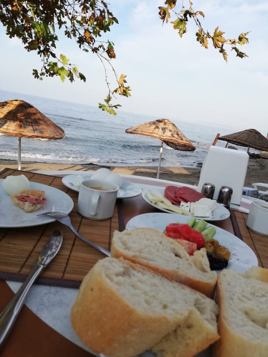 Gastro Dogan Paradise Beach