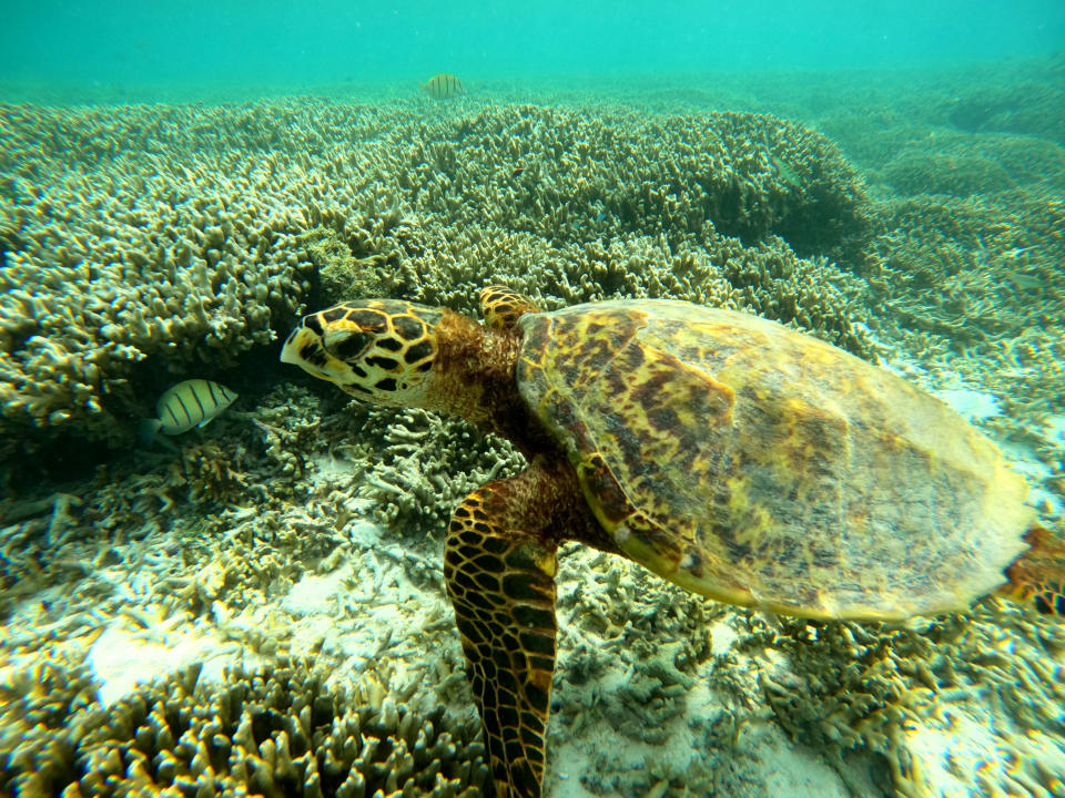 Sport & Freizeit Adaaran Select Hudhuran Fushi - Premium All Inclusive