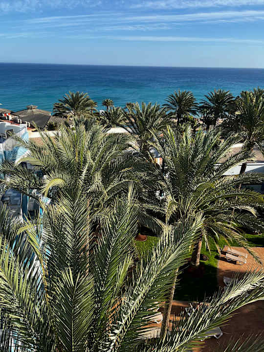 Gartenanlage R2 Pajara Beach