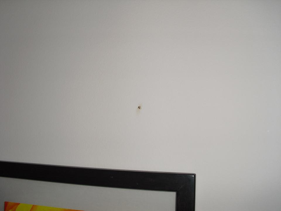 Flecken an allen Wänden Hotel Rosa Beach