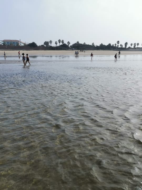 Strand Hotel Best Costa Ballena
