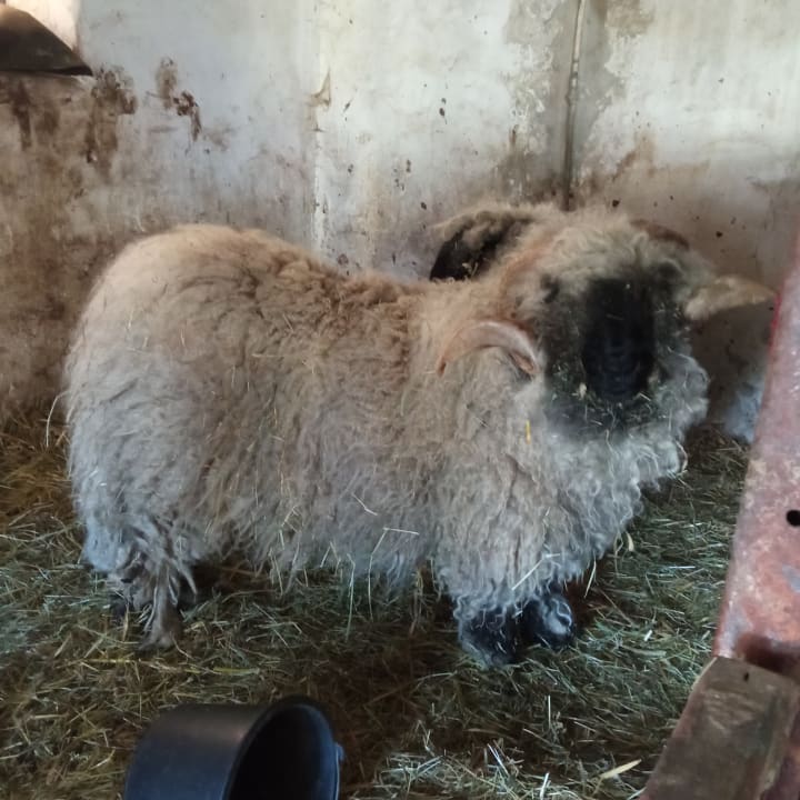 Sonstiges Hotel Reiterhof Altmühlsee