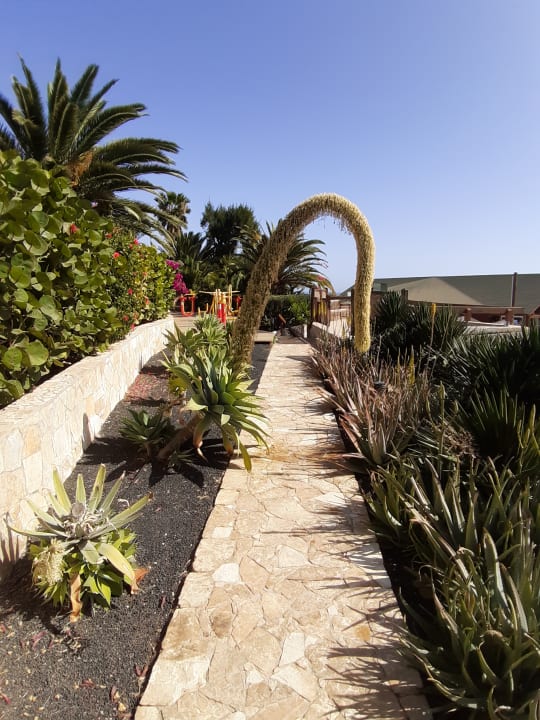 Garten Marina Playa Suite Hotel