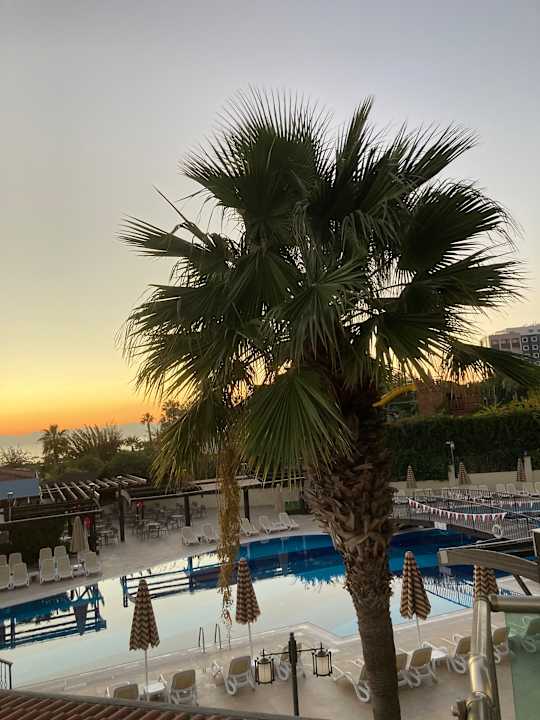 Ausblick Adalya Ocean Deluxe