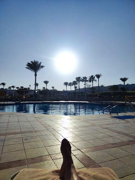 Pool JAZ Neo Reef Marsa