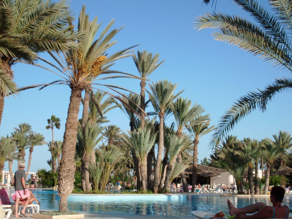 Pool 1 Zita Beach Resort