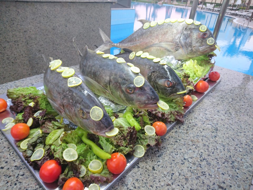 Gastro Jaz Makadina