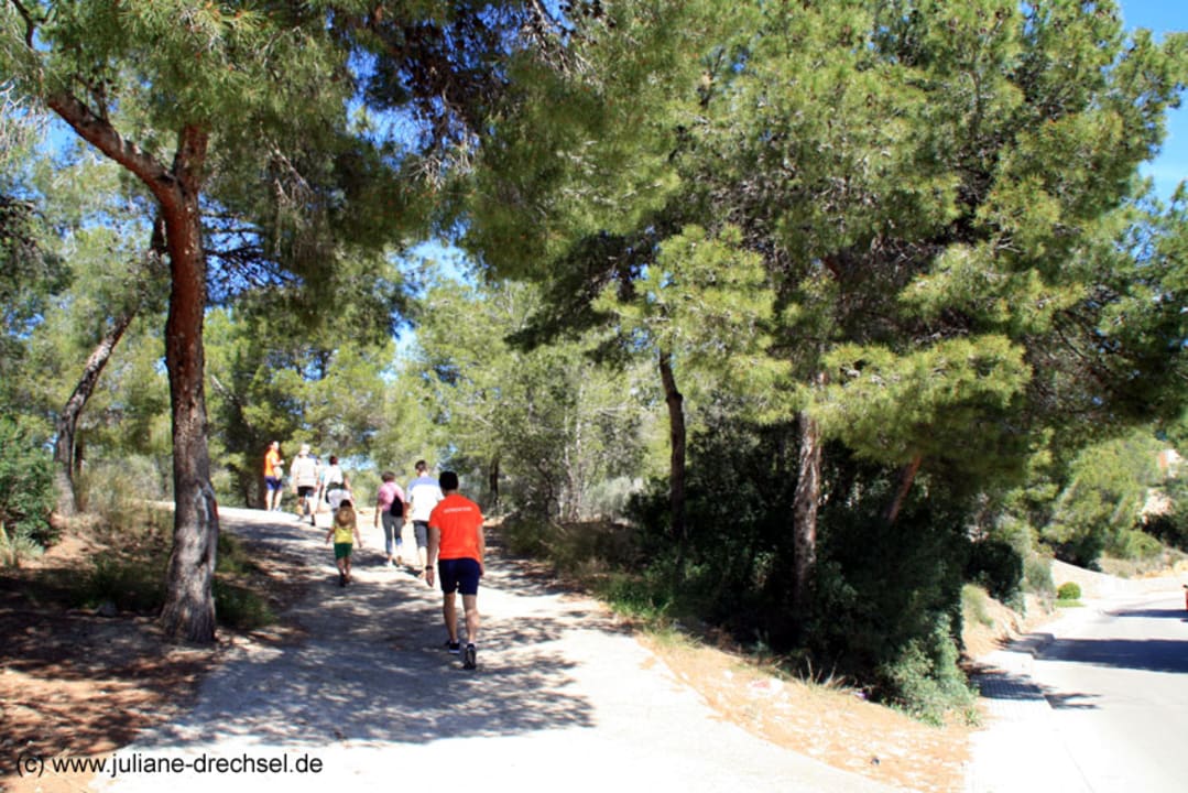 Sport & Freizeit Hotel Vibra Beverly Playa