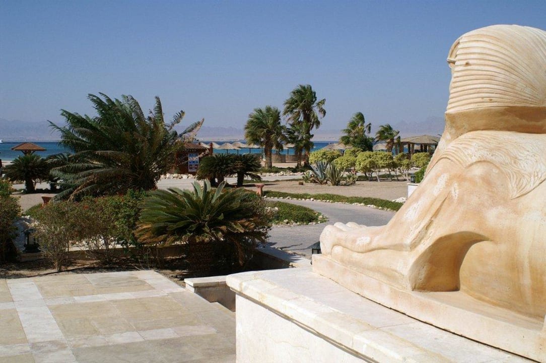 Vom Pool zum Strand Hotel Sheraton Soma Bay Resort