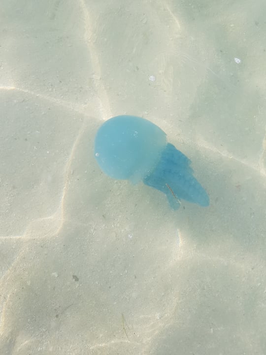 Strand Rixos Bab Al Bahr