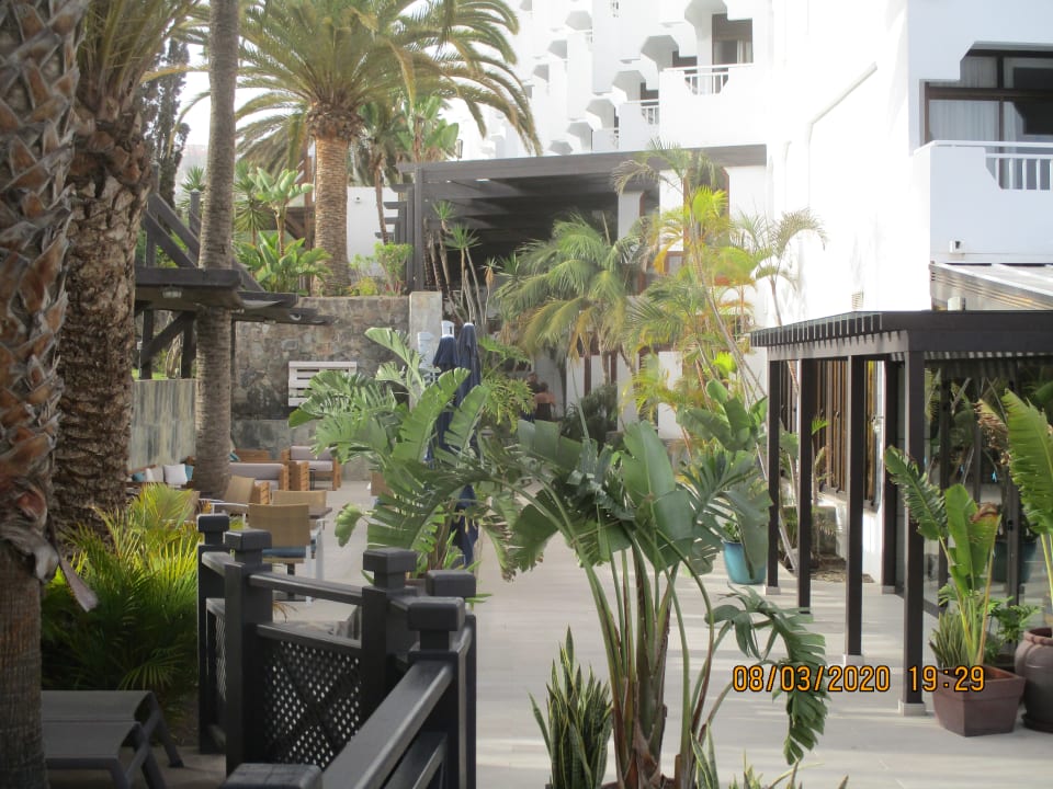 Zimmer Corallium Beach by Lopesan Hotels - Adults only