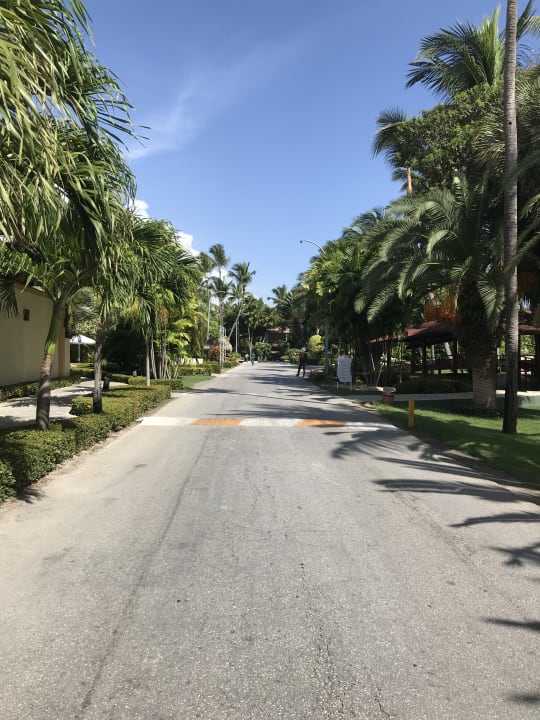 Gartenanlage Hotel Grand Palladium Palace Resort, Spa & Casino