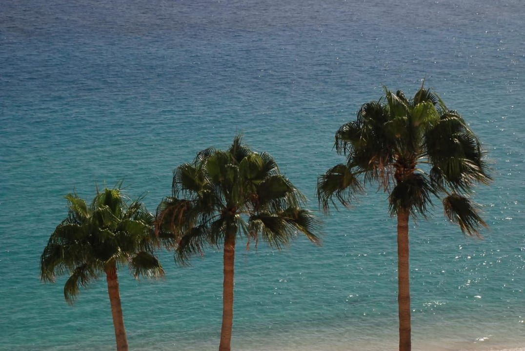 3 Palmen am Strand Hotel Riu Palace Jandia