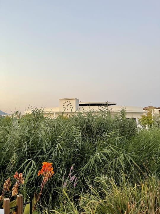 Gartenanlage Jiva Beach Resort